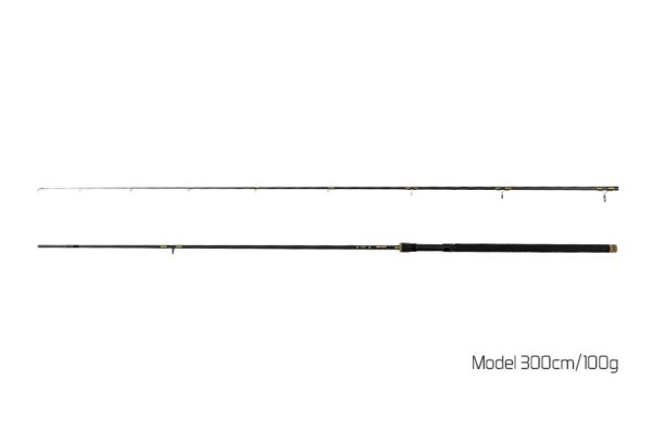 Spinning Delphin Murena 270cm/100g, SKU 110385270