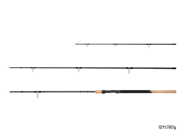 Delphin NIRVANA FDR + 3 tips 13ft/80g, SKU 101001487