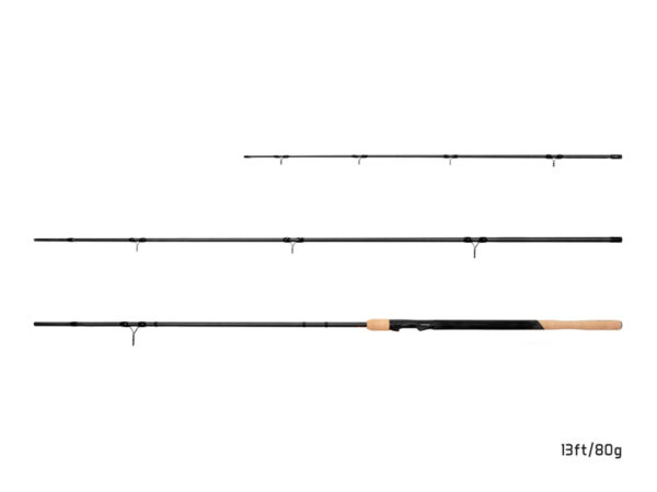 Delphin NIRVANA FDR + 3 tips 13ft/80g, SKU 101001487
