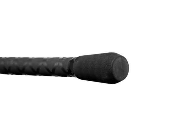 Karbiritv Delphin PARTISAN Carp 360cm/3.50lbs/2 part, SKU 101001404