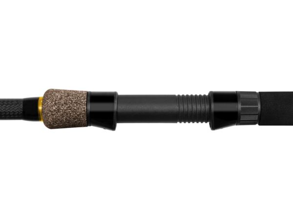 Delphin RIVER Trophy NXT X-TREME + 4 tips 400cm/250g/3 parts, SKU 101002513