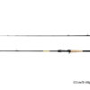 Spinning Delphin Zandera B-CAST 210cm/7-32g/2 parts, SKU 101004372