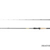 Spinning Delphin Zandera B-CAST 210cm/7-32g/2 parts, SKU 101004372