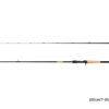 Spinning Delphin Zandera B-CAST 210cm/7-32g/2 parts, SKU 101004372
