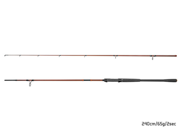 Spinning Delphin EXPLOZA HARD 210cm/60g/2 parts, SKU 101003135