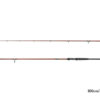 Spinning Delphin EXPLOZA HARD 210cm/60g/2 parts, SKU 101003135