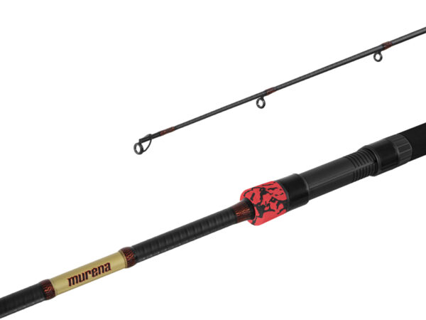 Spinning Delphin MURENA POWER 240cm/125g/2 parts, SKU 101003141