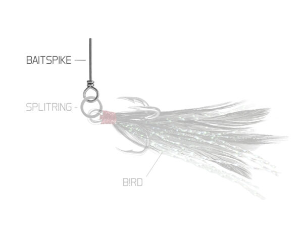 Võdikunõel Delphin BAIT SPIKE M/24mm/10ks, SKU 101003636