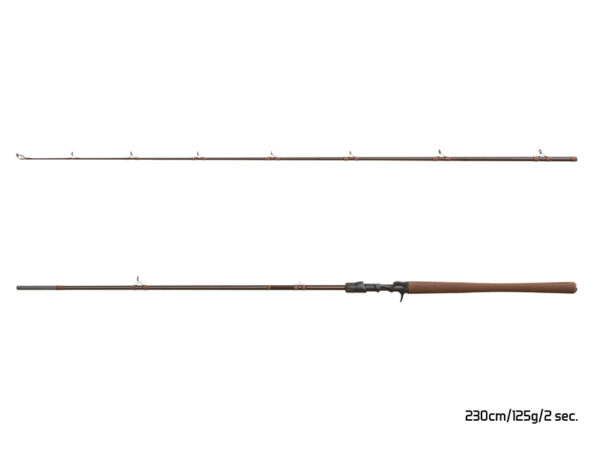 Spinning Delphin QUEST B´CAST 195cm/125g/2 parts, SKU 101004704