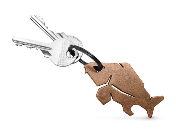 Pudeliavaja Delphin CARPENER Bronze Bronze, SKU 101004736