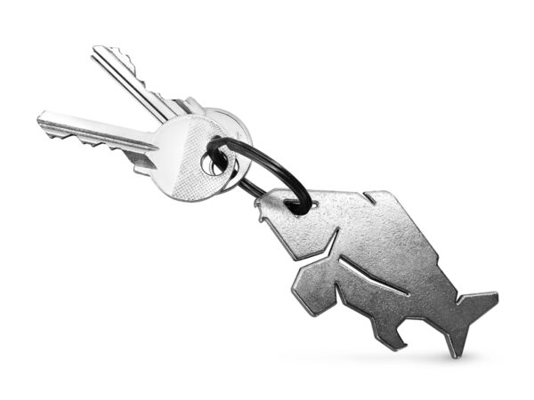 Pudeliavaja Delphin CARPENER Silver Silver, SKU 101004773