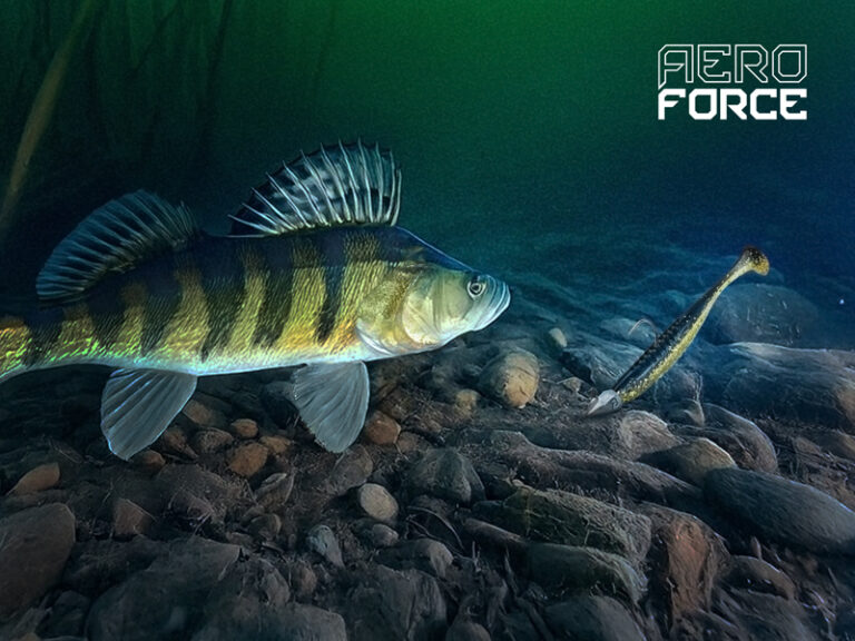 Jigipea standup Delphin AeroFORCE / 5 pcs 15g-3/0, SKU 101005254