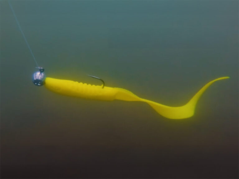 Jigipea with a grub keeper Delphin TYRE / 3 pcs 50g-6/0, SKU 101005290