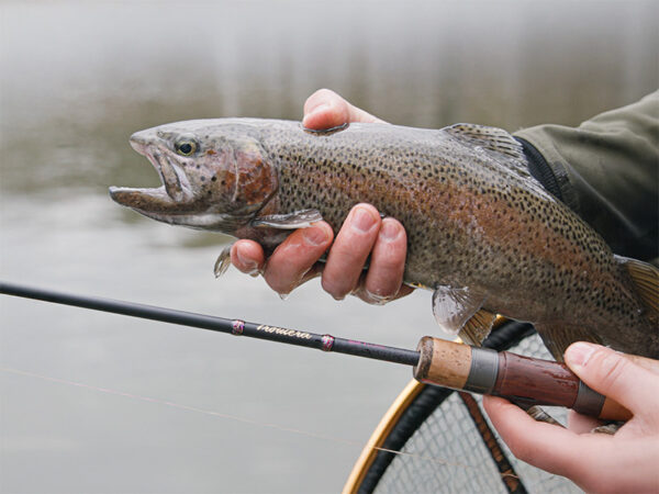 Spinning Delphin TROUTERA SoftLURE 180cm/0.5-6g/2 parts, SKU 101005781