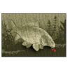 Jalamatt Delphin CatchME! CARP 60x40cm, SKU 795000306