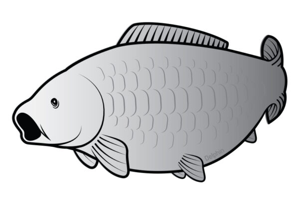Kleeps Carp sticker SILVER, SKU 795010080
