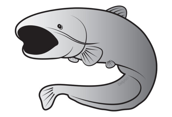 Kleeps Catfish sticker SILVER, SKU 795010090
