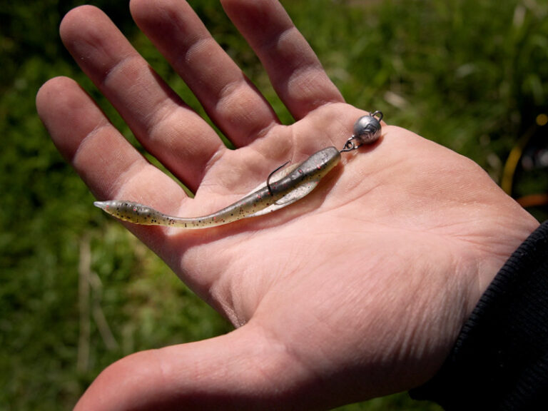 Võdik Delphin TOXIN UV 8pcs 8cm BOOTY, SKU 101005571