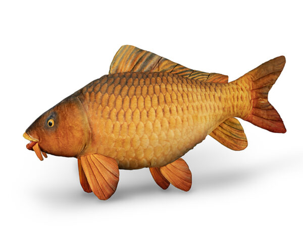 Padi Delphin CARPY Plush Carp 60 cm